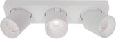 Plafondlamp Laguna 3L Wit - LED 3x6W 2700K 3x540lm - IP20 - Dimbaar > spots verlichting led wit | opbouwspot led wit | plafondlamp wit | spot led wit | led lamp wit | design lamp w