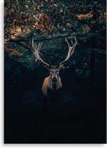 BONT | Poster rendier - Hert - Winter - Kerst - Rendier in bos - Dieren - Landelijk - Rendieren - 50x70 cm