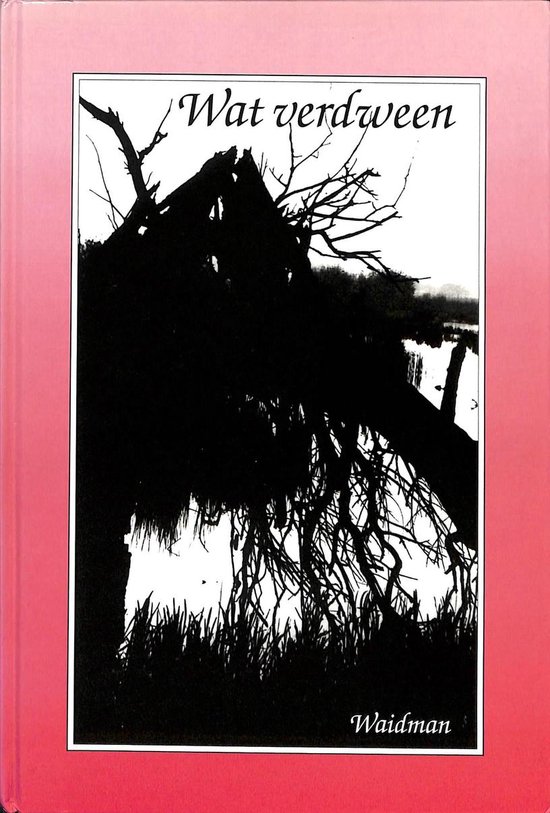 Wat verdween - cover