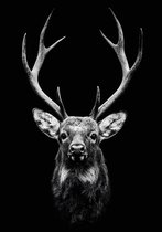 Dark Deer Aluminium 70x100 cm zwart wit dieren wanddecoratie