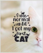 I Was Normal Until I Got My First Cat