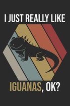 I Just Really Like Iguanas, OK?