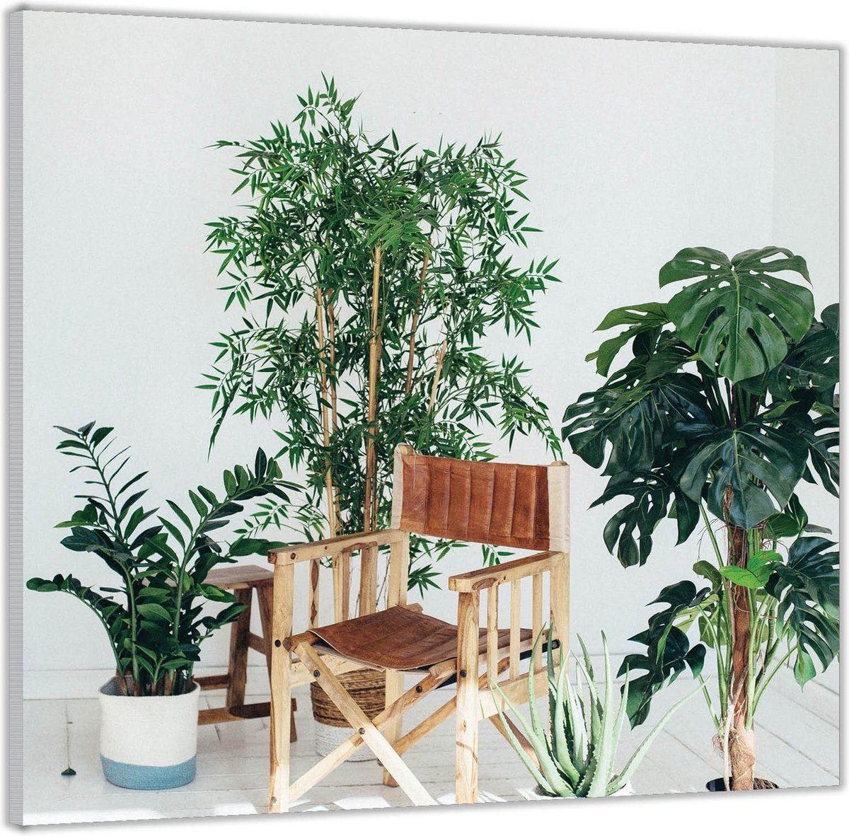 Acrylglas –Tuinstoeltje tussen Planten-80x80 Foto op Acrylglas (Met ophang)