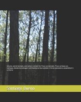 Volume, aerial biomass, and carbon content for Pinus occidentalis, Pinus caribaea var. Caribaea, Swietenia mahagoni and Swietenia macrophylla