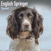 Engelse Springer Spaniel Kalender 2021 (euro)