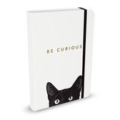 Peter Pauper Notitieboek - Curious Cat - small - met elastieksluiting - 13x18 cm