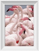 Artstudioclub®  Schilderen op nummer volwassenen meerdere flamingo's of pelikanen 40x50 Zonder lijst