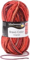 Schachenmayr Bravo Color 50 Gram - 2087