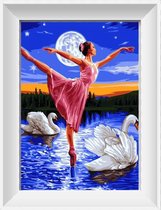 Artstudioclub®  Schilderen op nummer volwassenen ballerina op meer met 2 zwanen 40x50 Zonder lijst