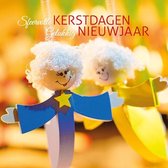 Kerstkaarten Engeltjes - 10 stuks - met enveloppen
