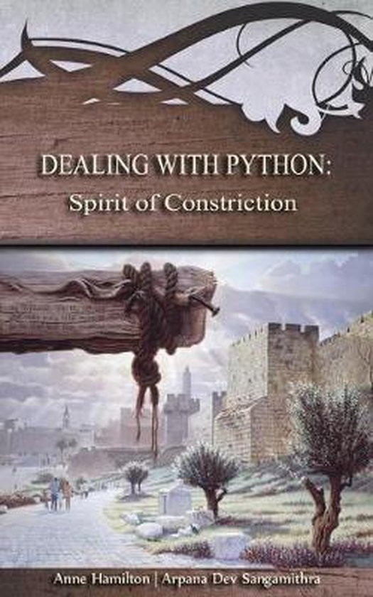 Boekomslag van "Dealing with Python: Spirit of Constriction" met een afbeelding van een houten balk met touwen en een antieke stad.