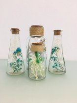 decorglazen (4 stuks)