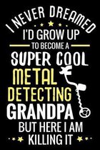 I never dreamed I'd grow up to become a Super Cool Metal Detecting Grandpa