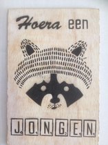Postkaart Hoera een Meisje (hout)