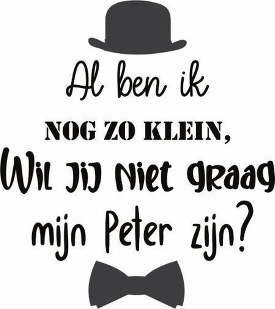 Tekstbord Wil je mijn peter zijn?