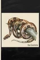 Snake: Boa Constrictor Watercolor: 6x9 College Ruled Notebook