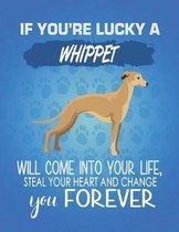 If You're Lucky A Whippet Will Come Into Your Life, Steal Your Heart And Change You Forever