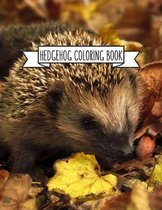 Hedgehog Coloring Book