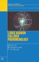 Large Hadron Collider Phenomenology