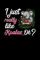 I Just Really Like Koalas, Ok?