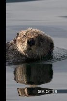 sea otter: small lined Otter Notebook / Travel Journal to write in (6'' x 9'')
