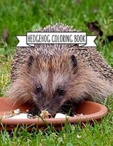 Hedgehog Coloring Book