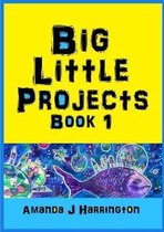 Big Little Projects Book 1