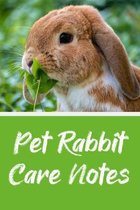Pet Rabbit Care Notes