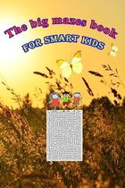 The big mazes book for smart kids