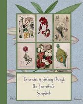 The wonder of botany through the fine artists sketchbook