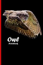 Owl Notebook: Beautiful notebook with bird motive. 6''x9'' inch