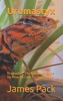 Uromastyx: Uromastyx