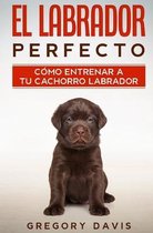 El Labrador Perfecto