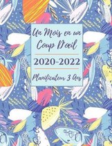 Un Mois en un Coup D'oeil 2020-2022 Planiﬁcateur 3 Ans et Organisateur: Carnet de Rendez-vous - Agenda pour 3 ans, un Mois par Page Calendrier