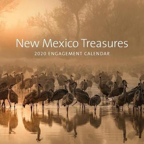 New Mexico Treasures 2020 Engagement Calendar, Museum Of New Mexico