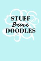 Stuff Briar Doodles: Personalized Teal Doodle Sketchbook (6 x 9 inch) with 110 blank dot grid pages inside.