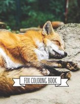 Fox Coloring Book