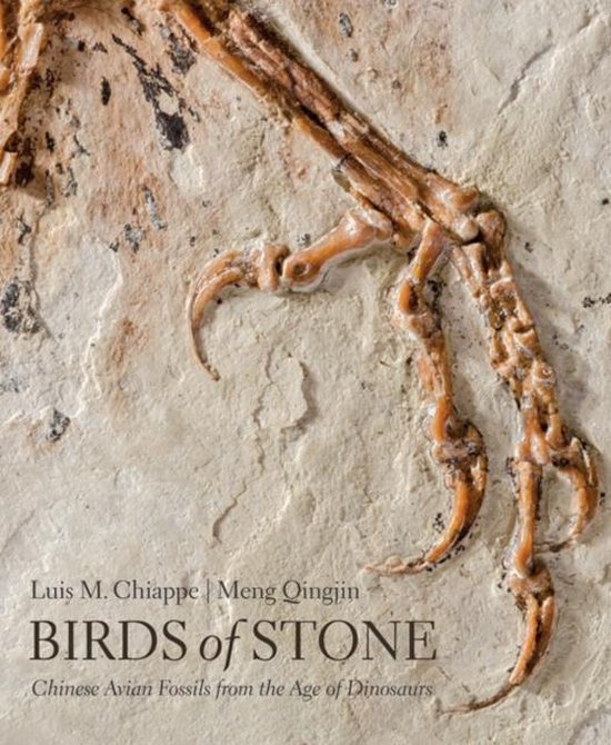 Birds of Stone - Chinese Avian Fossils from the Age of Dinos ... - cover