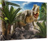 Dinosaurus T-Rex tropical attack - Foto op Plexiglas - 60 x 40 cm