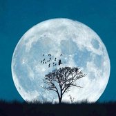 Dubbele Kaart “Full Moon”