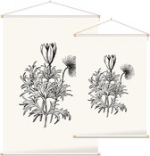 Pulsatilla zwart-wit (Pasque Flower) - Foto op Textielposter - 40 x 60 cm