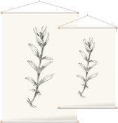 Rozentak zwart-wit Schets (Rose Branch) - Foto op Textielposter - 90 x 135 cm