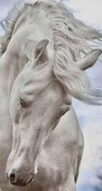 Mooi Rennend Paard | 30x55cm | VIERKANT | HQ Diamond Painting voor Volwassenen |  volledig dekkend | Diamant Schilderen | dieren | pony |