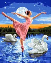 Schilderen op Nummer Ballet Zwanen 40x50 Volwassenen & Kinderen - Kleuren op Nummer - Paint by Number - Hobbypainting.nl®