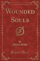 Wounded Souls (Classic Reprint)