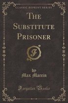 The Substitute Prisoner (Classic Reprint)