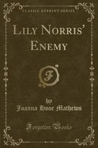 Lily Norris' Enemy (Classic Reprint)