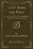 Lost Amid the Fogs