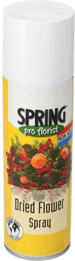 Droogbloemen Spray | Spring | bescherming droogbloemen| 300ml | bol