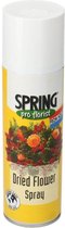 Droogbloemen Spray | Spring | bescherming droogbloemen| 300ml
